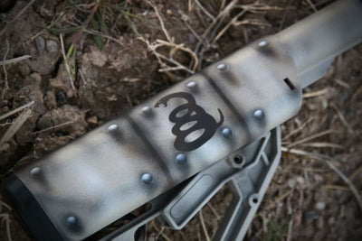 Dont Tread On Me Paint